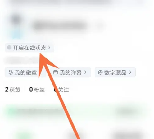 爱奇艺怎么开启在线状态