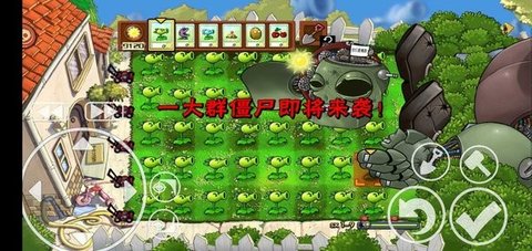 植物大战僵尸p v1.0截图2