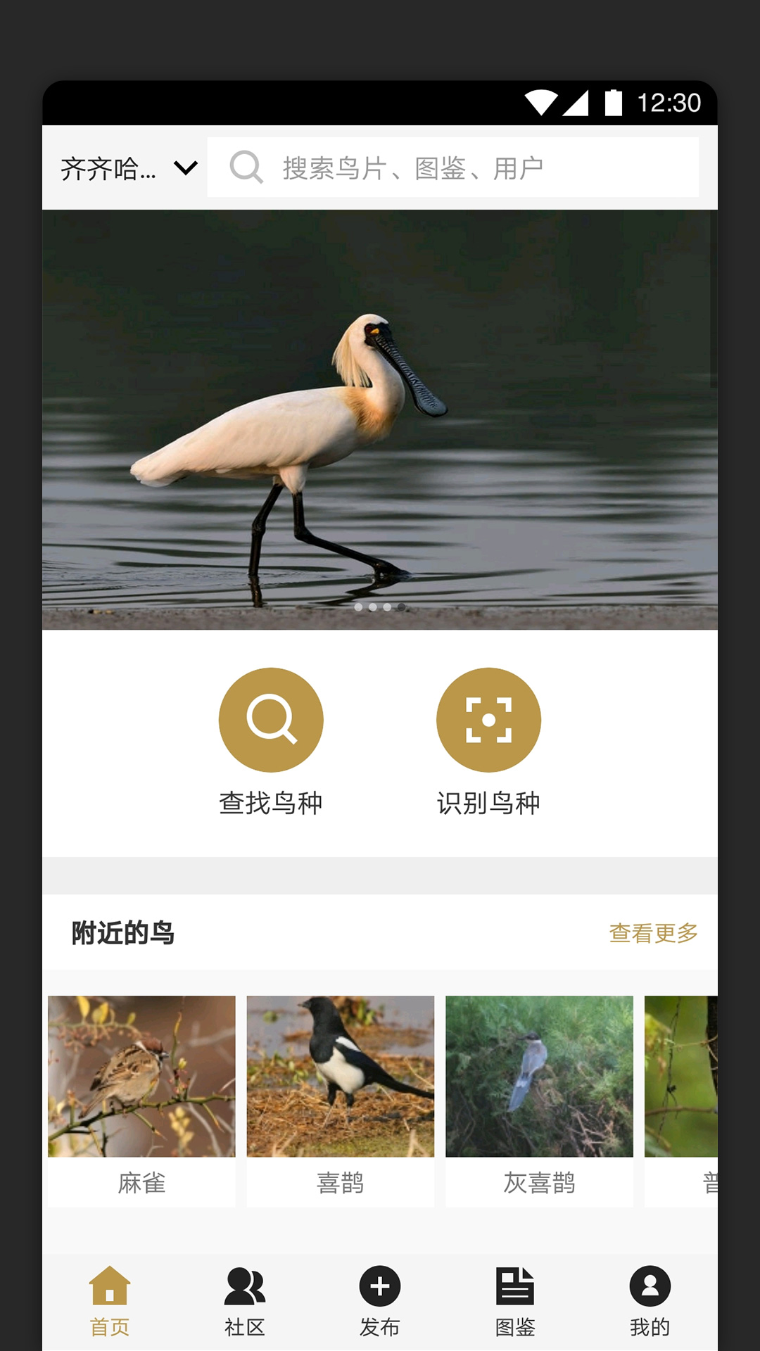 识鸟家 v1.4截图4