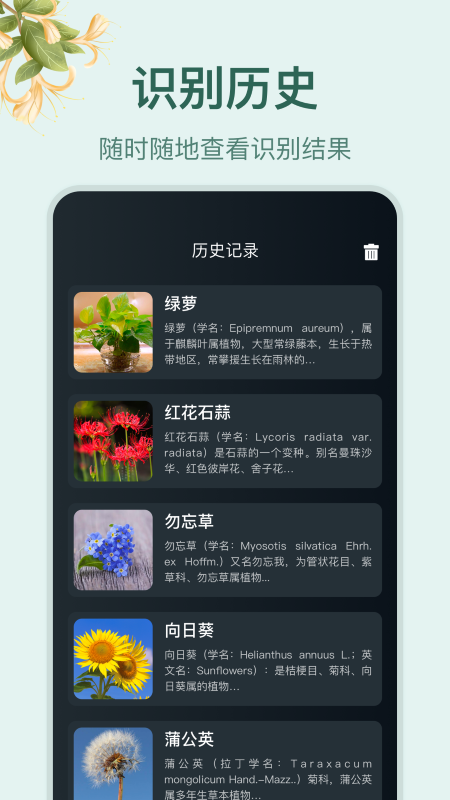 小园丁 v1.4截图3