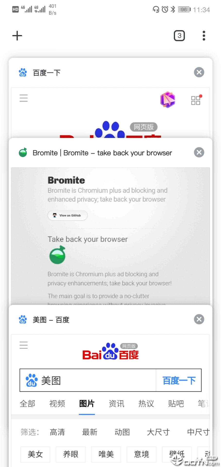 Bromite浏览器 v75.0.3770.109截图3