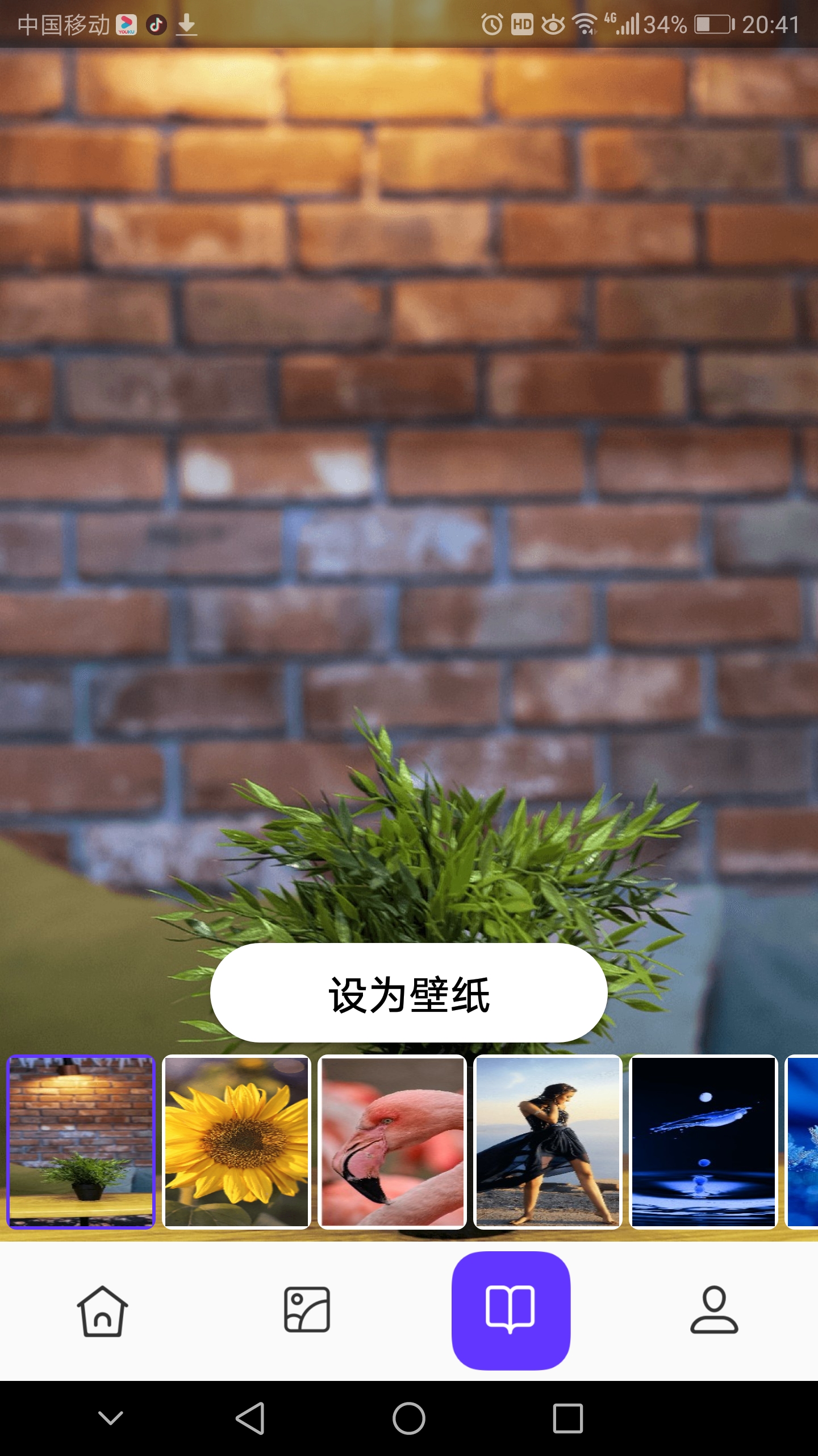 皮皮助手ios v1.0.8截图2