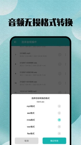 格式转换 v11.0截图2