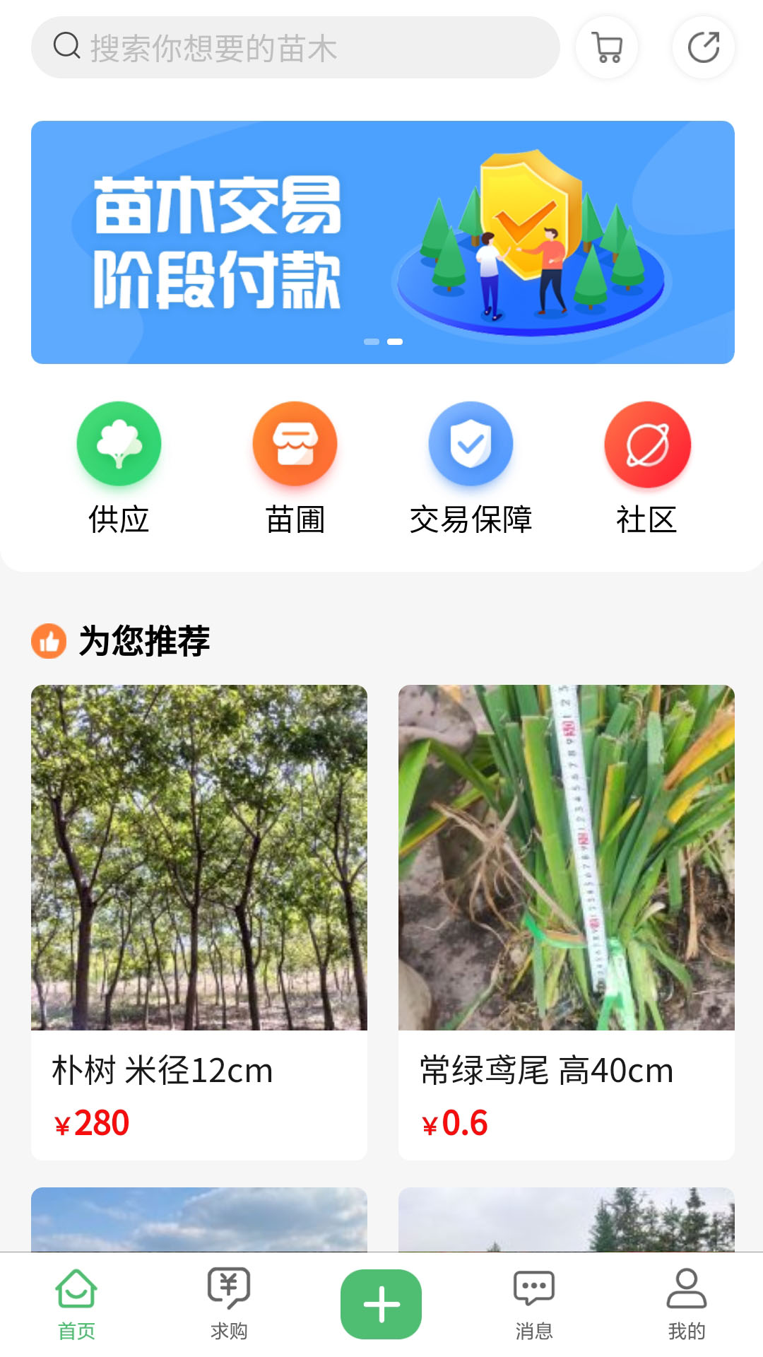 苗青青 v2.0.03截图2