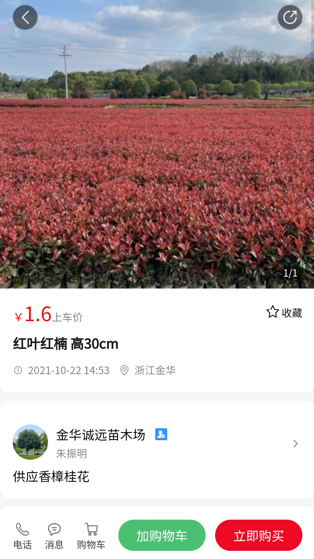 苗青青 v2.0.03截图4