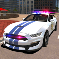 R8 Police Car Dri