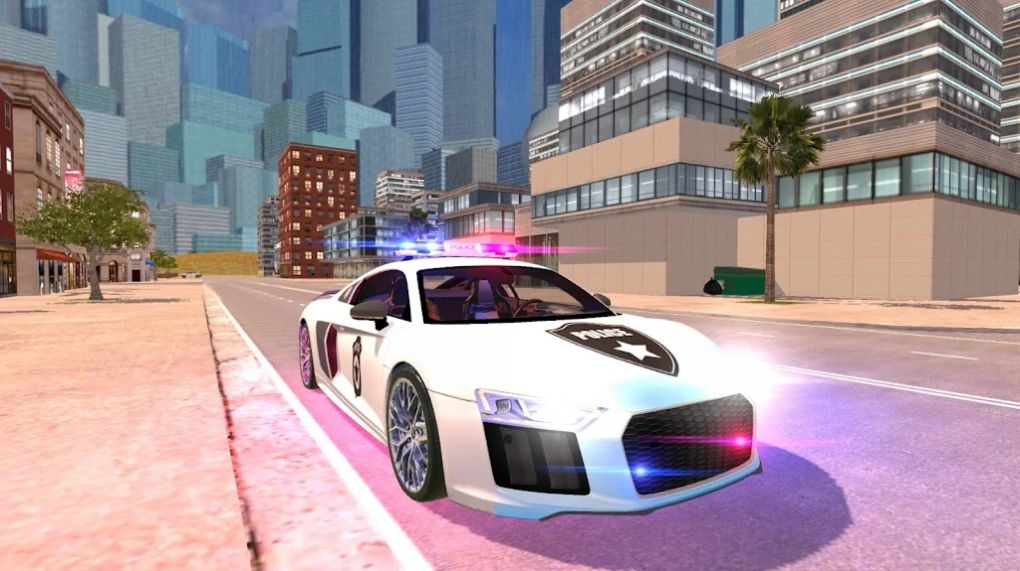 R8 Police Car Dri v1截图3