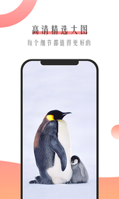 米柚壁纸 v1.0.3截图2