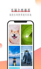 米柚壁纸 v1.0.3截图4