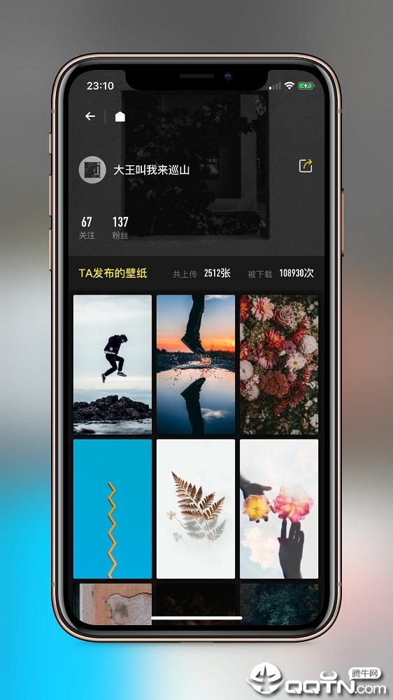 纸塘壁纸 v1.5.12截图2