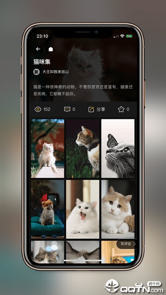 纸塘壁纸 v1.5.12截图4