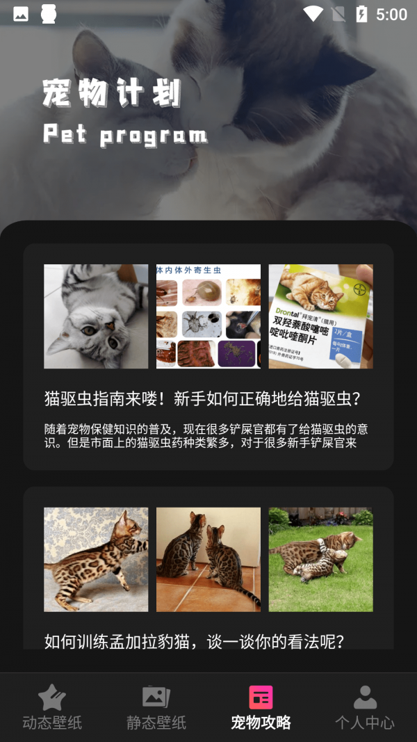 猫咪壁纸 v1.1截图1