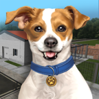 动物收容所游戏(Animal Shelter Simulator)