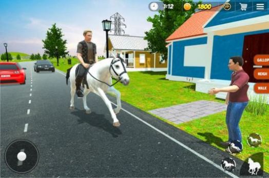 越野马的士模拟器(Offroad Horse Taxi Simulator game) v5.1.11截图4