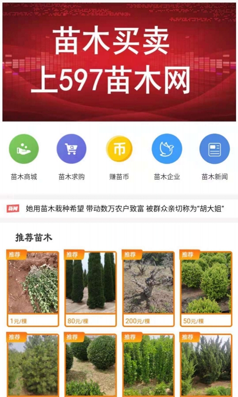 597苗木网 v3.2截图3