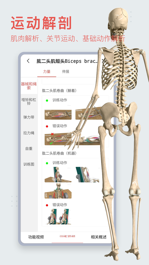 3DBody解剖 v8.7.51截图1