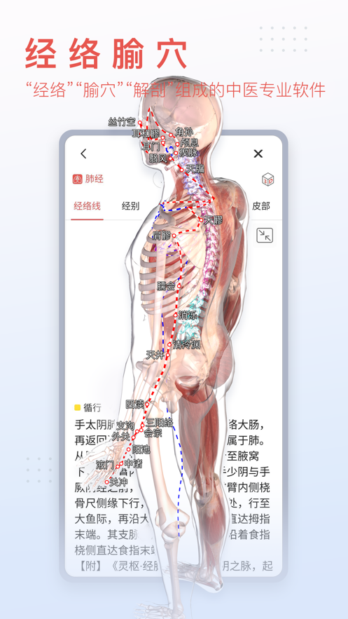 3DBody解剖 v8.7.51截图2