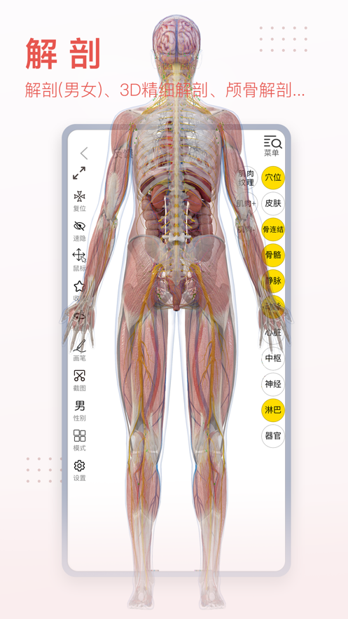 3DBody解剖 v8.7.51截图3