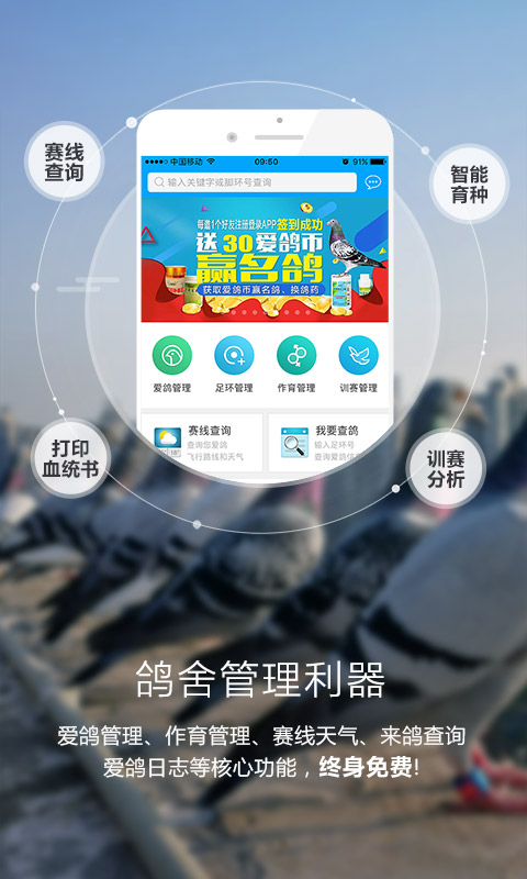 爱鸽者 v2.9.3截图2