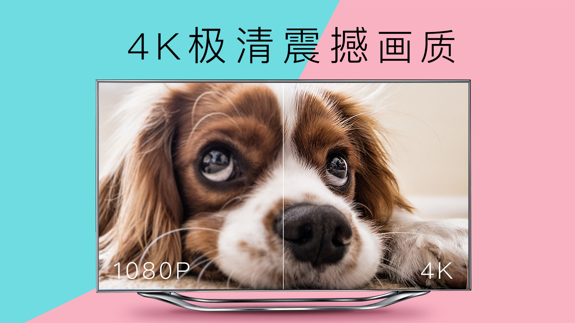 CIBN 4K花园T v3.1.0截图1