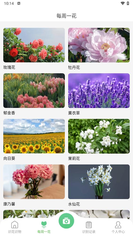 花卉识别图鉴 v1.0.0截图2