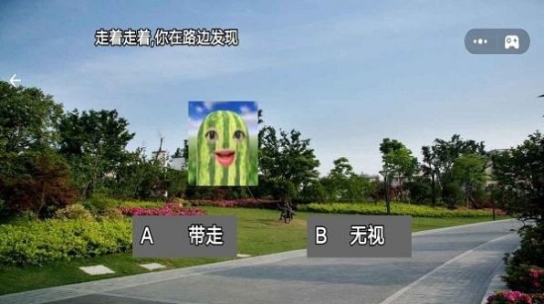 西瓜人派对 v1.0截图1