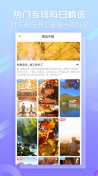 嘀嗒壁纸 v2.0.0截图1