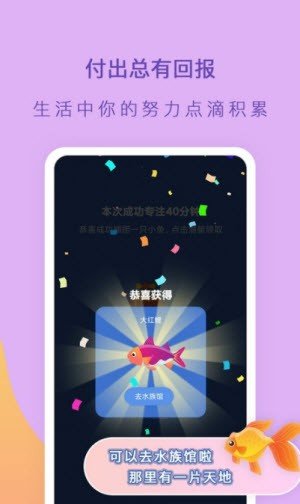 小鱼专注官网版 v1.0.0截图2