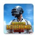 PUBG手游