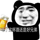 干了这杯酒还是好兄弟表情包