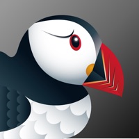 Puffin浏览器网页版