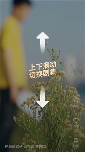 红果免费短剧红包版截图2